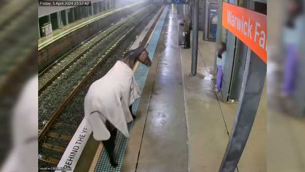Βίντεο: Άλογο κόβει βόλτες σε σταθμό τρένου στην Αυστραλία