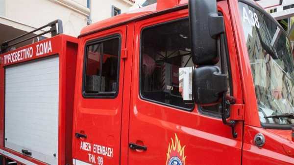 Ρόδος: Υπό έλεγχο άμεσα η φωτιά στην περιοχή Βρυσιά