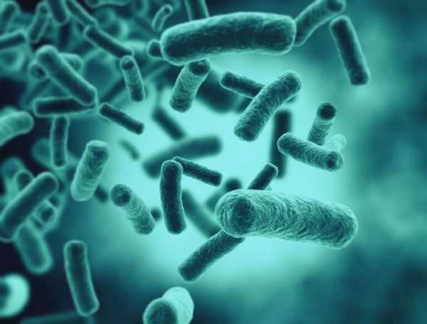 Βακτήρια που ανακαλύφθηκαν στους Νεάτερνταλ θα βοηθήσουν στην ανάπτυξη νέων αντιβιοτικών