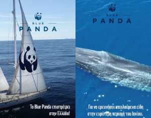 To Blue Panda, το ιστιοπλοϊκό σκάφος του WWF, επιστρέφει στην Ελλάδα