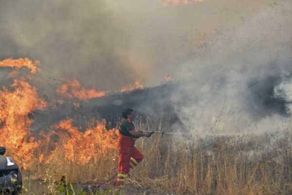 Σικελία: Τραγικές οι συνέπειες των εκτεταμένων πυρκαγιών