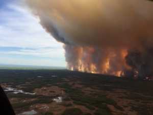Δασικές πυρκαγιές 2023:  Στάχτη 4 δισ. στρέμματα, 250 νεκροί, 6,5 δισ. τόνοι διοξειδίου του άνθρακα