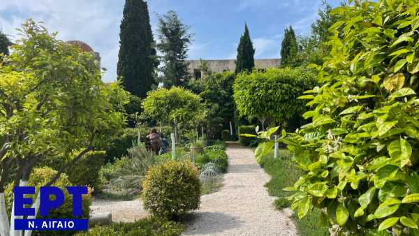 Ρόδος: Ανοίγει στις 8 Μαΐου ο κήπος του ιδρύματος Marc de Montalembert 